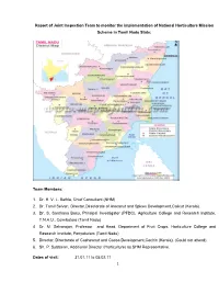 1 Report of Joint Inspection Team to Monitor the Implementation Of