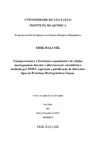 Erik Halcsik