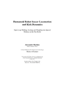 Humanoid Robot Soccer Locomotion and Kick Dynamics
