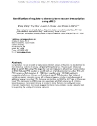 Identification of Regulatory Elements from Nascent Transcription Using Dreg