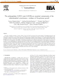 The Polypeptides COX2A and COX2B Are Essential Components of the Mitochondrial Cytochrome C Oxidase of Toxoplasma Gondii