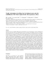 Trophic Relationships in the Rhine Food Web During Invasion and After Establishment of the Ponto-Caspian Invader Dikerogammarus Villosus
