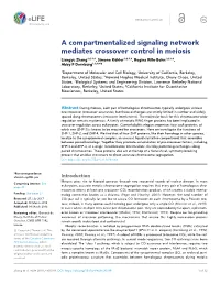 A Compartmentalized Signaling Network Mediates Crossover Control