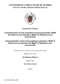 Mafr De Enterococcus Faecalis Y Mgap De Streptococcus Pneumoniae