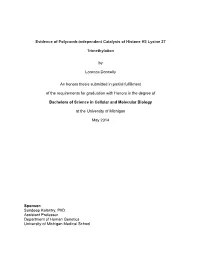 Evidence of Polycomb-Independent Catalysis of Histone H3 Lysine 27