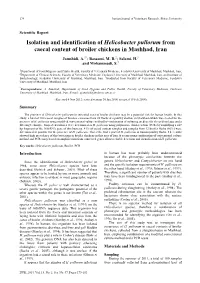 Isolation and Identification of Helicobacter Pullorum from Caecal Content of Broiler Chickens in Mashhad, Iran