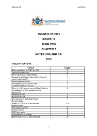 Business Studies Grade 12 Term Two Chapter 6 Notes Csr and Csi 2019