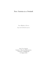 Toric Varieties in a Nutshell