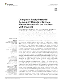 Changes in Rocky Intertidal Community Structure During a Marine Heatwave in the Northern Gulf of Alaska