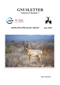 GNUSLETTER Volume 37 Number 1
