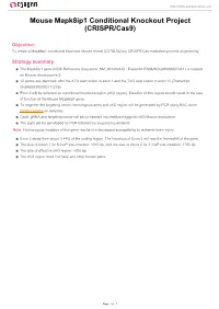 Mouse Mapk8ip1 Conditional Knockout Project (CRISPR/Cas9)