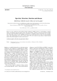 SCIENCE CHINA Spectrin: Structure, Function and Disease