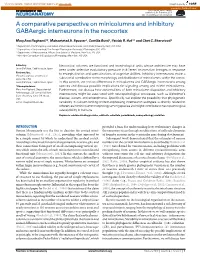 A Comparative Perspective on Minicolumns and Inhibitory Gabaergic Interneurons in the Neocortex