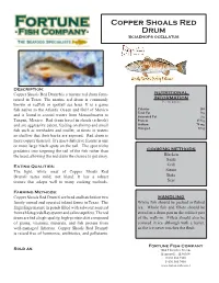 Copper Shoals Red Drum Sciaenops Ocellatus