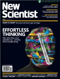 EFFORTLESS THINKING Why Some Ideas Come Naturally to Us – and Why They’Re Usually Wrong