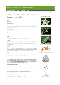 Solanum Capsicoides Click on Images to Enlarge