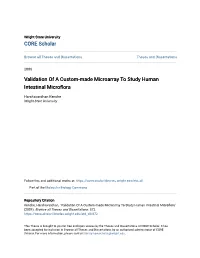 Validation of a Custom-Made Microarray to Study Human Intestinal Microflora