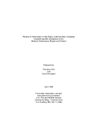 GOSFINAL-DEA Formatted
