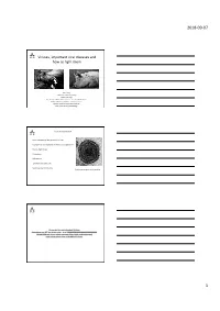 Itp-Lecture-Viruses.Pdf