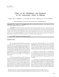 Study on the Morphology and Frequency of the Vomeronasal Organ in Humans