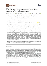 A Middle-Aged Enzyme Still in Its Prime: Recent Advances in the Field of Cutinases