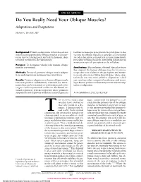 Do You Really Need Your Oblique Muscles? Adaptations and Exaptations