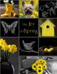 Thejoyofspring.Pdf