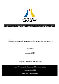 Measurement of Horses Gaits Using Geo-Sensors