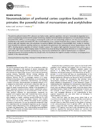 Neuromodulation of Prefrontal Cortex Cognitive Function in Primates: the Powerful Roles of Monoamines and Acetylcholine ✉ Roshan Cools1 and Amy F