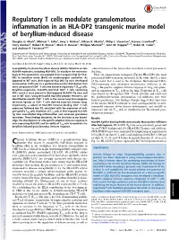 Regulatory T Cells Modulate Granulomatous Inflammation in an HLA-DP2 Transgenic Murine Model of Beryllium-Induced Disease