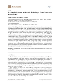 Scaling Effects on Materials Tribology: from Macro to Micro Scale