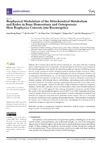 Biophysical Modulation of the Mitochondrial Metabolism and Redox in Bone Homeostasis and Osteoporosis: How Biophysics Converts Into Bioenergetics