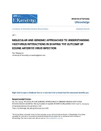 Molecular and Genomic Approaches to Understanding Host-Virus Interactions in Shaping the Outcome of Equine Arteritis Virus Infection
