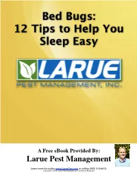 Bed Bugs: 12 Tips to Help You Sleep Easy