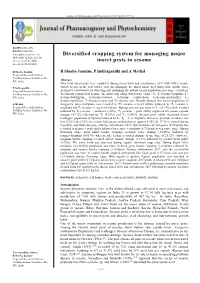 Diversified Cropping System for Managing Major Insect Pests In
