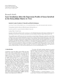 Laser Irradiation Alters the Expression Profile of Genes Involved in the Extracellular Matrix in Vitro