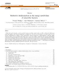 Reductive Dechlorination in the Energy Metabolism of Anaerobic Bacteria