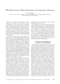 RNA Interference, Heterochromatin, and Centromere Function