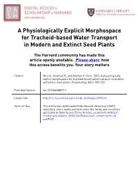 A Physiologically Explicit Morphospace for Tracheid-Based Water Transport in Modern and Extinct Seed Plants