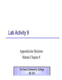 Lab Activity 9