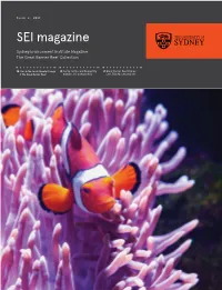 SEI Magazine