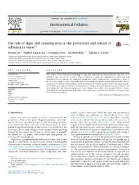 The Role of Algae and Cyanobacteria in the Production and Release of Odorants in Water*