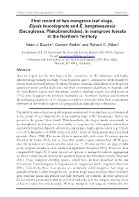 First Record of Two Mangrove Leaf Slugs, Elysia Leucolegnote and E