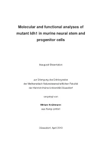 Molecular and Functional Analyses of Mutant Idh1 in Murine Neural Stem and Progenitor Cells