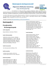 Gastropoda 1