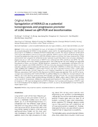 Original Article Upregulation of HOXA13 As a Potential Tumorigenesis and Progression Promoter of LUSC Based on Qrt-PCR and Bioinformatics