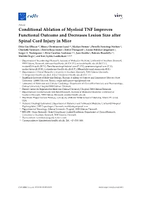 Conditional Ablation of Myeloid TNF Improves Functional Outcome and Decreases Lesion Size After Spinal Cord Injury in Mice