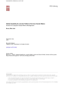 Habitat Suitability for Juvenile Flatfish of the Inner Danish Waters Section for Ecosystem Based Marine Management
