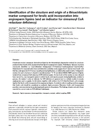 Identification of the Structure and Origin of a Thioacidolysis