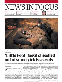 Little Foot’ Fossil Chiselled out of Stone Yields Secrets Mysterious Ancient Hominin Retrieved After 20-Year Effort Might Be a Distinct Species